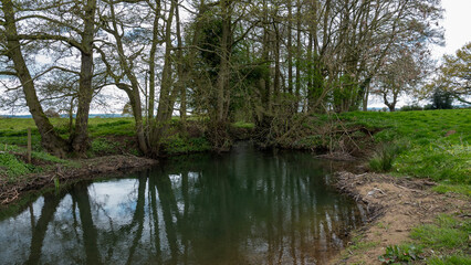 A rural stream opening up into a tree lined pool