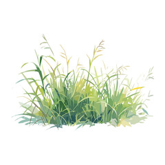 Obraz premium Grass shrub art illustration watercolor vector