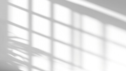 shadow overlay effects of realistic window and tree branch shadow with light blur on transparent background,Summer sunlight and shadow overlay effect   © Cool-Hunter