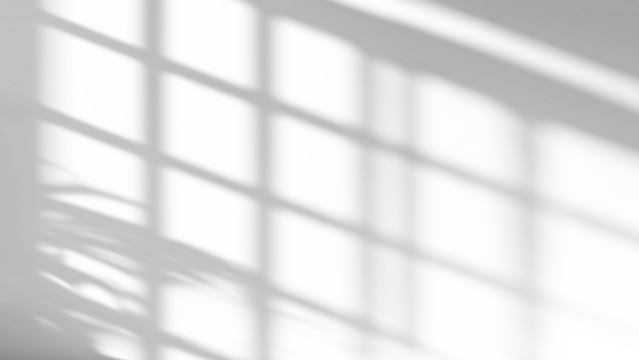 shadow overlay effects of realistic window and tree branch shadow with light blur on transparent background,Summer sunlight and shadow overlay effect	
