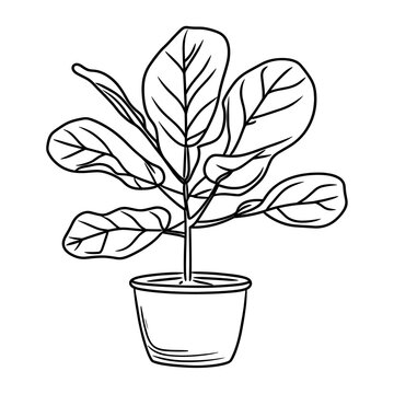 black and white potted plant drawing clip art preview