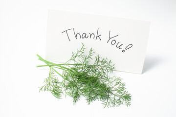 新鮮な緑のディルと感謝のメッセージカード