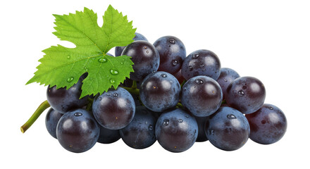 Isolated Bunch of Dark Grapes