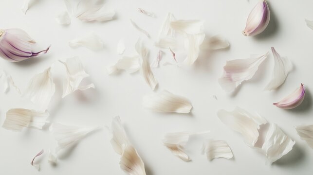 Scattered garlic skins and husks on a white background &ndash; Minimalistic food photo