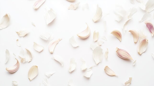 Scattered garlic skins and husks on a white background &ndash; Minimalistic food photo