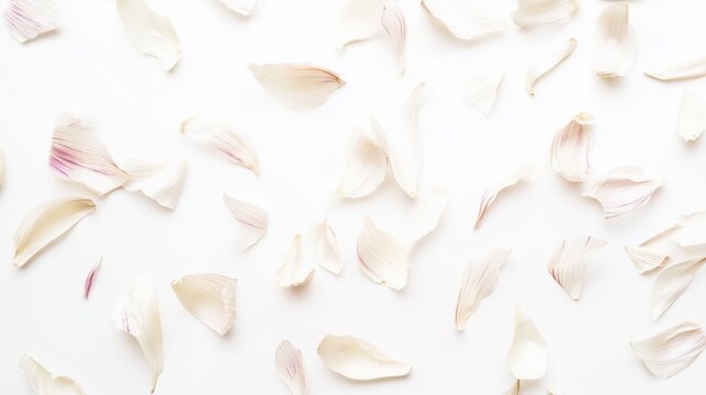 Scattered garlic skins and husks on a white background &ndash; Minimalistic food photo