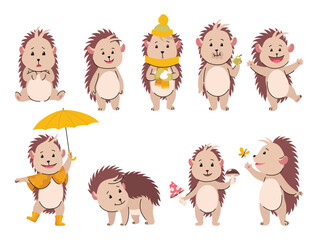Lovely hedgehogs. Cute funny wild forest animals. Prickly cartoon character in various poses. Vector isolated illustration