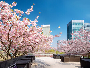 桜とオフィスビル