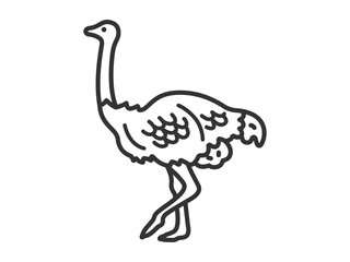 ダチョウ（線画）のイラスト