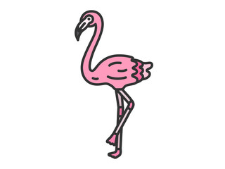 フラミンゴ（線画カラー）のイラスト