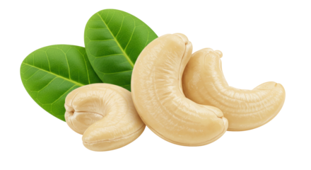 Isolated Cashew Nuts with Leaves