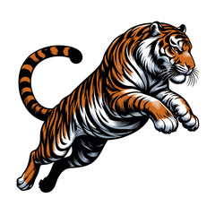 Tiger vector and illustrations.