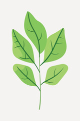Obraz premium flat leaf plant illustration vector