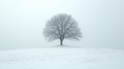 A stark white canvas, adorned with a minimalist, elegant family tree template. Empty, yet inviting cells await the addition of cherished names and relationships. A blank space for your creativity 