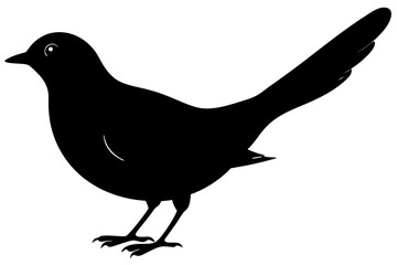 Obraz premium A black silhouette of a cuckoo bird