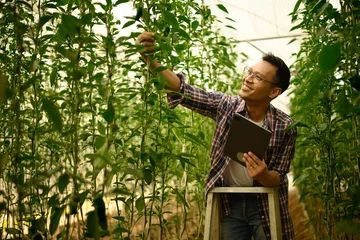 Gordijnen Smiling male agricultural entrepreneur using digital tablet and inspecting plants inside a greenhouse © Prathankarnpap