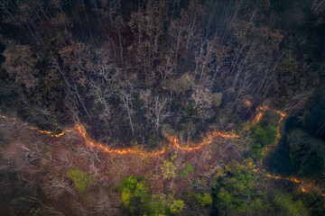 Forest fires release carbon dioxide and other greenhouse gasses, such as methane into the...
