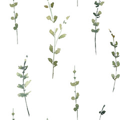 Watercolor pattern leaves, green branches, flowers botanical illustration isolated on transparent background	