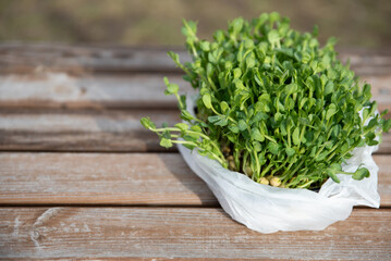 Close-up of micro-green polka dots. Healthy eating. Commercial banner