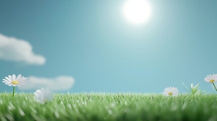 Obraz premium A sunny meadow with green grass and blooming daisies under a clear blue sky, evoking a sense of tranquility and natural beauty.