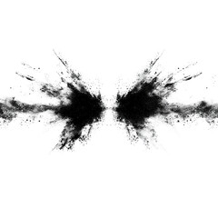 Abstract black and white ink splash resembling butterfly shape