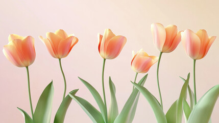 Fototapeta premium A stylized illustration of spring tulips, bold warm-toned petals (orange, coral