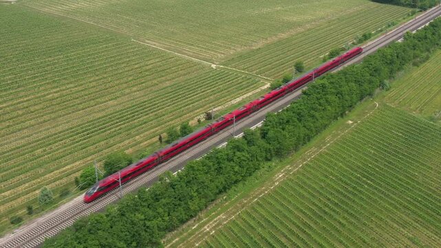 A high-speed red train rushes through the green vineyards of Italy, its sleek design blending modern transportation with nature&rsquo;s beauty.