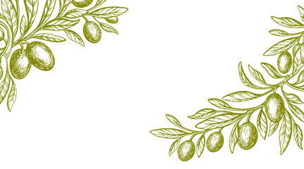 Engraved olive branch. Sketch green fruit Backdrop