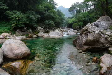 The Sun-Link-Sea Forest Recreation Area in Nantou, Taiwan, features a river bank covered with huge rocks and a crystal clear stream