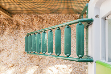 Metal chicken house ladder seen leading to the entrance of a modern, plastic hen and bantam pet...