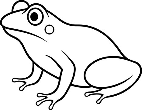 frog coloring pages white background