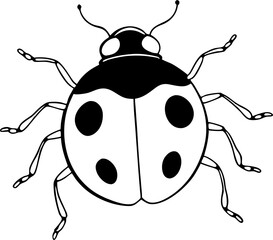 ladybug sketch white background art