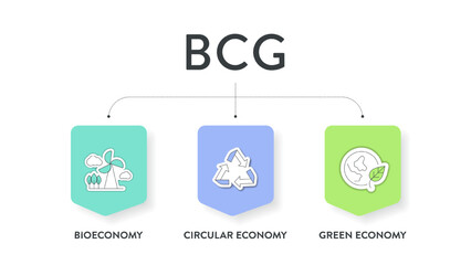 BCG model strategy infographic diagram chart banner template for presentation has bio economy, circular economy and green economy principles. Sustainable development by optimizing resource use, waste.
