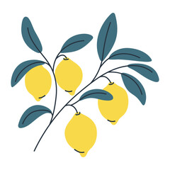 Minimalist illustration of four lemons on branch with leaves. Perfect for summer and food designs.