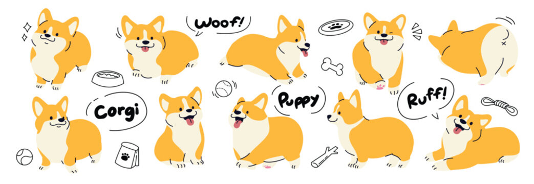 Fototapeta Set of cute corgi dog vector. Lovely dog doodle in different poses with food bowl, bone, ball. Adorable funny pet and many characters hand drawn collection for T-shirt, sticker, print, pet shop.