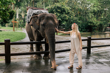 Fototapeta premium beautiful girl with smiling elephant, elephant village, bali