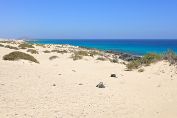 Sun and blue sky by the endless desert sand beach at the dunes of Corralejo National Park, Fuerteventura, Canary Islands, Spain. Ideal image for advertising desert atmosphere.