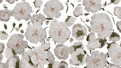 White Flowers Isolated on White Background
