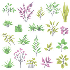 Set of houseplants, twigs and leaves. Cliparts for creating minimalist and modern plant designs