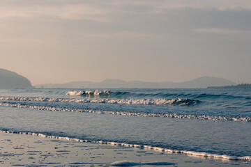 seagulls on the beach