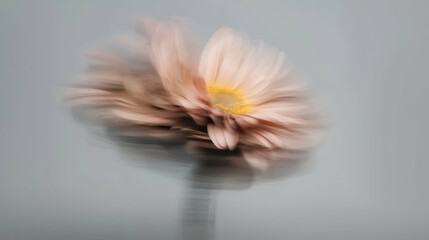 Fototapeta premium Blur flowers on white background. Minimalistic aesthetic background