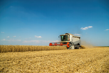 Combine harvester at work under the clear blue sky during wheat harvest season