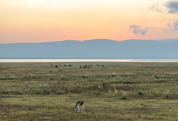 Sonnenaufgang in Afrika