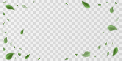 Fresh green leaves flying on wind. Air wave with summer or spring foliage. 