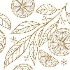 Botanical Gold Line Art Citrus Slices And Leaves On White Background Seamless Fresh Pattern For Luxury Packaging Premium Stationery And Kitchen Decor