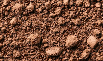 Detailed close-up reveals the rich texture and earthy tones of loose soil and small clumps.