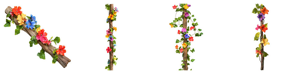Brightly colored flowers creeper isolated on transparent background. PNG , Set of