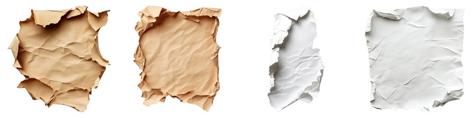 Abstract torn pieces of petal paper isolated on transparent background. PNG , Set of