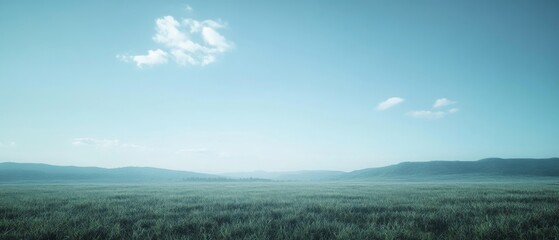 Fototapeta premium A vast, open grassy field stretches under a bright azure sky, encapsulating freedom and endless possibilities in nature's embrace.