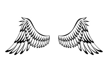 Wings sketch. Stylized birds wings. Hand drawn contoured stiker wing in open position. design elements in coloring style